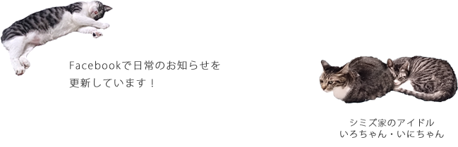 フェイスブックで日常のお知らせを更新しています