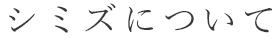 シミズについて